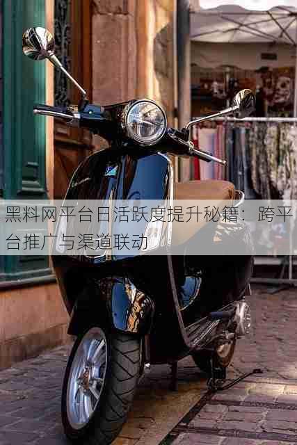 黑料网平台日活跃度提升秘籍:跨平台推广与渠道联动