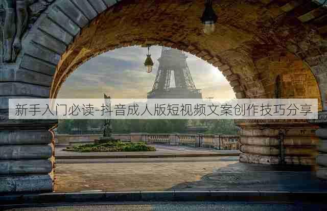 新手入门必读-抖音成人版短视频文案创作技巧分享