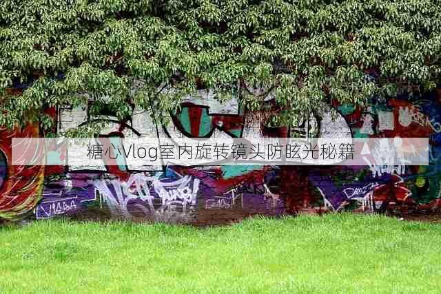 糖心Vlog室内旋转镜头防眩光秘籍