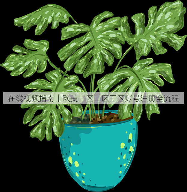 在线视频指南|欧美一区二区三区账号注册全流程