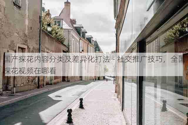 国产探花内容分类及差异化打法 - 社交推广技巧,全国探花视频在哪看