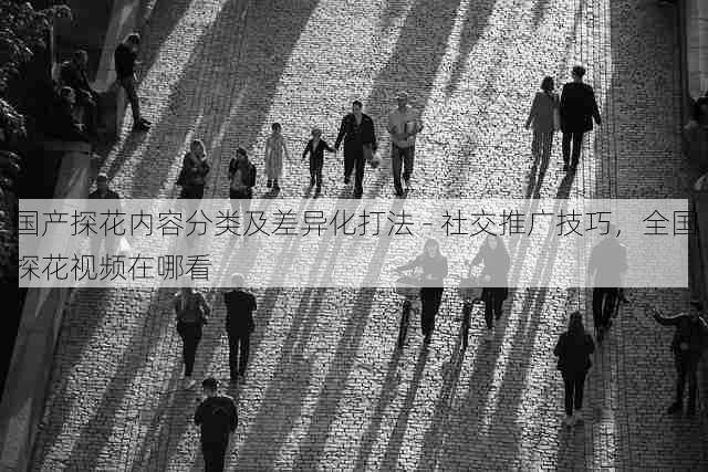 国产探花内容分类及差异化打法 - 社交推广技巧,全国探花视频在哪看
