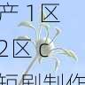 隐私安全指南 - 国产自产 1区2区 c短剧制作流程详解,国产区_1