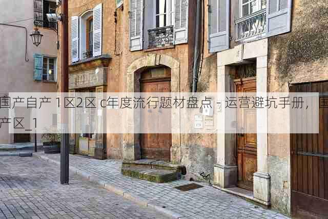国产自产 1区2区 c年度流行题材盘点 - 运营避坑手册,国产区_1