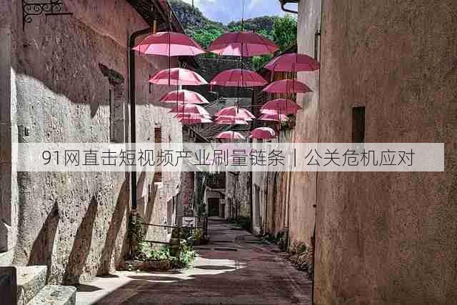 91网直击短视频产业刷量链条|公关危机应对
