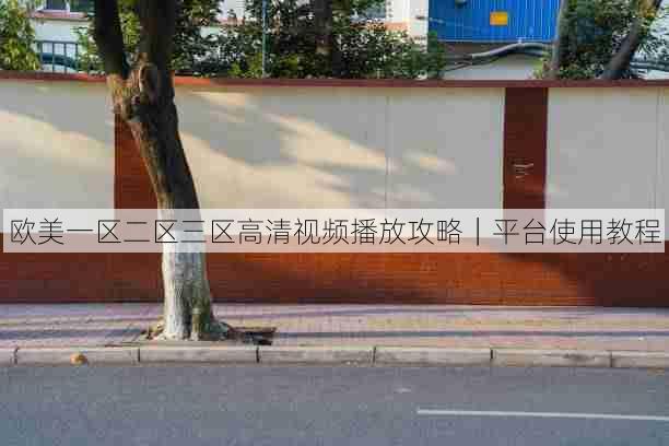 欧美一区二区三区高清视频播放攻略|平台使用教程