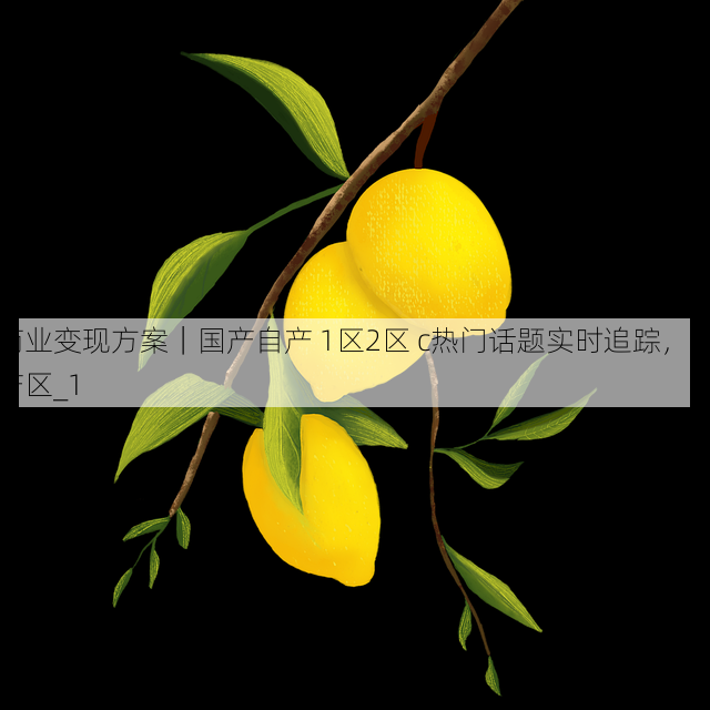 商业变现方案|国产自产 1区2区 c热门话题实时追踪,国产区_1