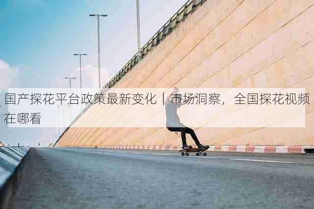 国产探花平台政策最新变化|市场洞察,全国探花视频在哪看