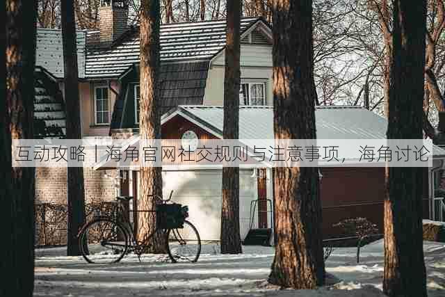 互动攻略|海角官网社交规则与注意事项,海角讨论