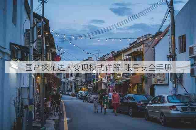 国产探花达人变现模式详解-账号安全手册