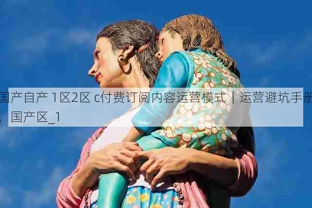 国产自产 1区2区 c付费订阅内容运营模式|运营避坑手册,国产区_1