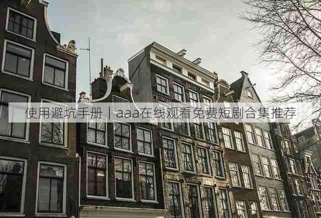 使用避坑手册|aaa在线观看免费短剧合集推荐