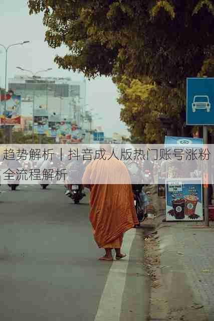 趋势解析|抖音成人版热门账号涨粉全流程解析