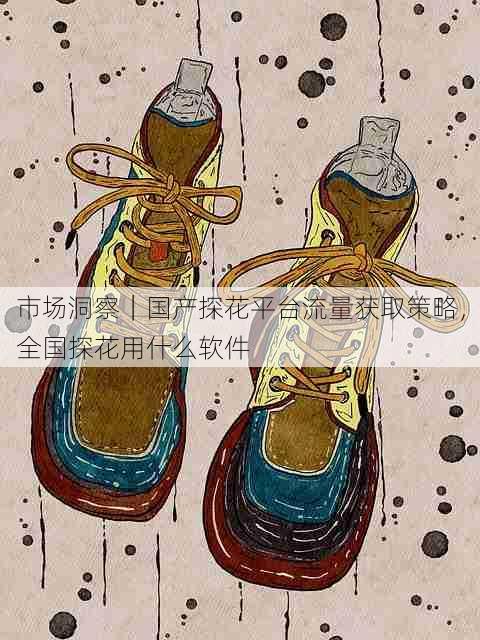 市场洞察|国产探花平台流量获取策略,全国探花用什么软件