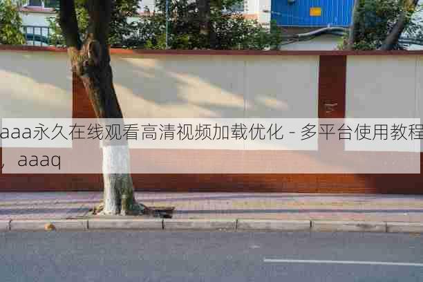 aaa永久在线观看高清视频加载优化 - 多平台使用教程,aaaq
