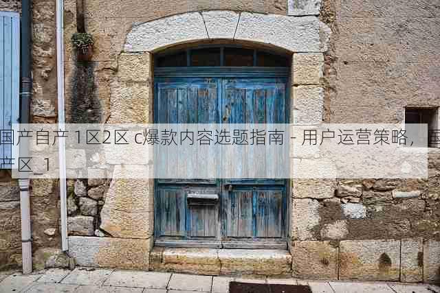 国产自产 1区2区 c爆款内容选题指南 - 用户运营策略,国产区_1
