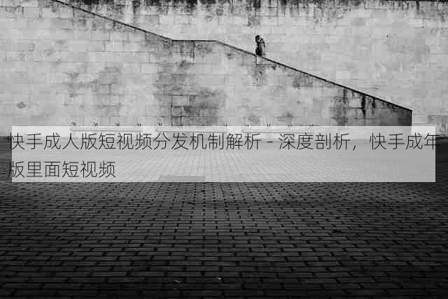 快手成人版短视频分发机制解析 - 深度剖析,快手成年版里面短视频