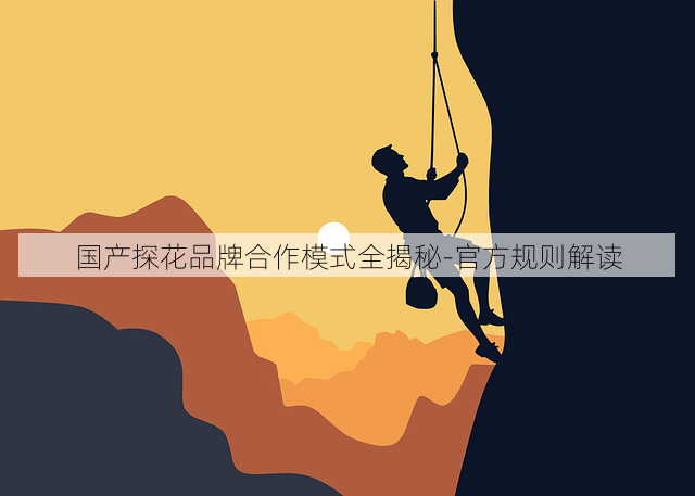 国产探花品牌合作模式全揭秘-官方规则解读