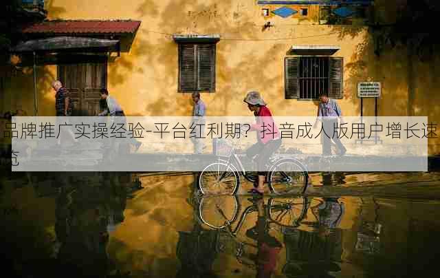 品牌推广实操经验-平台红利期?抖音成人版用户增长速览