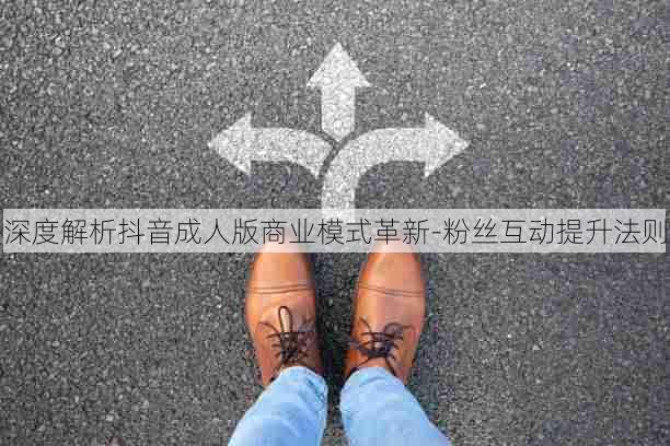深度解析抖音成人版商业模式革新-粉丝互动提升法则
