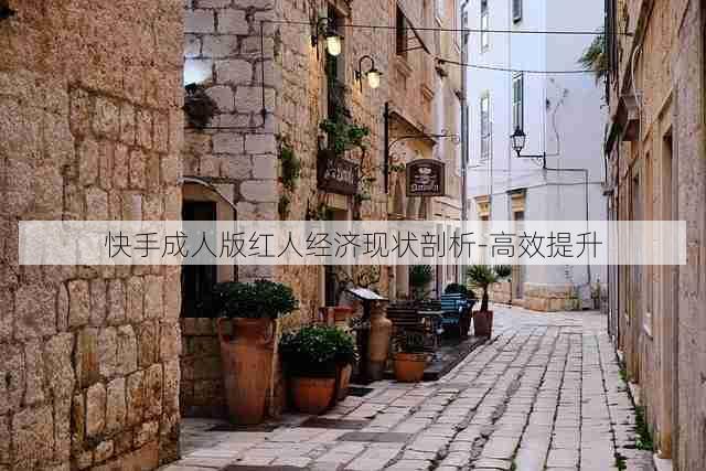 快手成人版红人经济现状剖析-高效提升