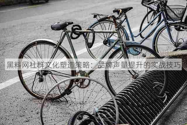 黑料网社群文化塑造策略:品牌声量提升的实战技巧