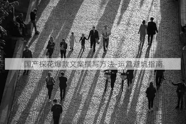 国产探花爆款文案撰写方法-运营避坑指南