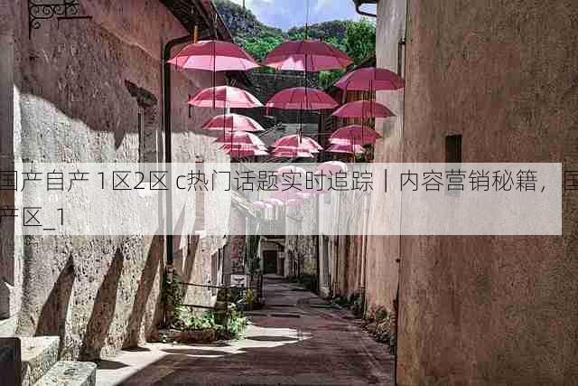 国产自产 1区2区 c热门话题实时追踪|内容营销秘籍,国产区_1