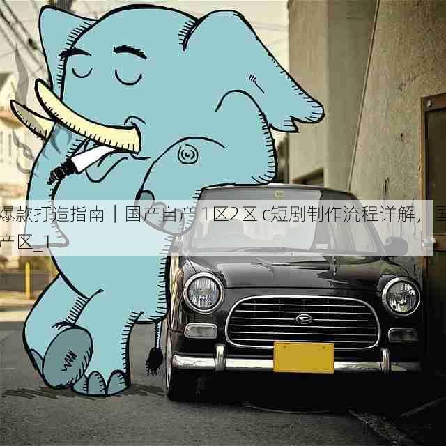 爆款打造指南|国产自产 1区2区 c短剧制作流程详解,国产区_1