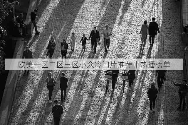 欧美一区二区三区小众冷门片推荐|热播榜单