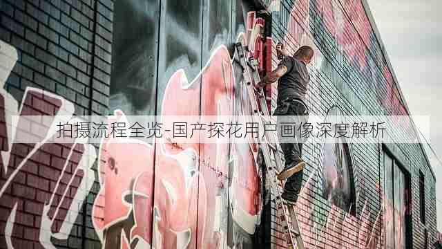 拍摄流程全览-国产探花用户画像深度解析