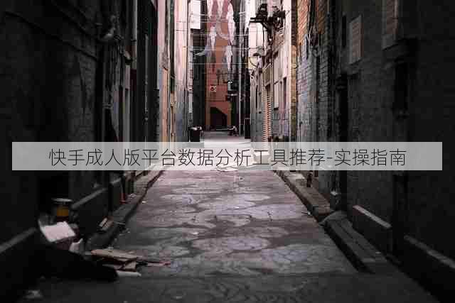 快手成人版平台数据分析工具推荐-实操指南