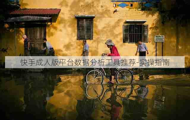 快手成人版平台数据分析工具推荐-实操指南
