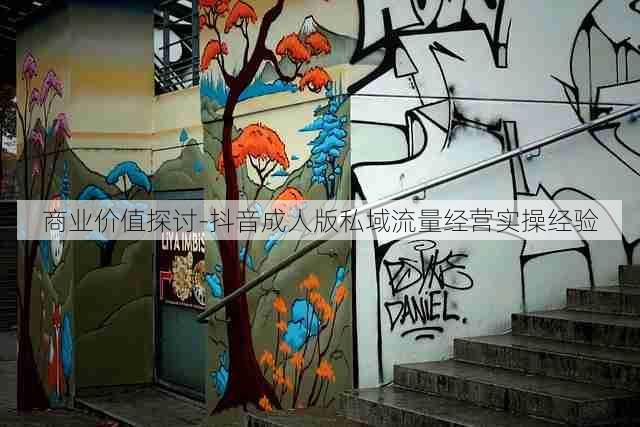 商业价值探讨-抖音成人版私域流量经营实操经验