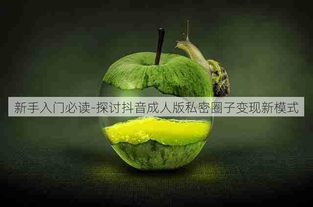 新手入门必读-探讨抖音成人版私密圈子变现新模式