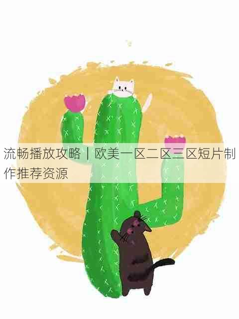 流畅播放攻略|欧美一区二区三区短片制作推荐资源