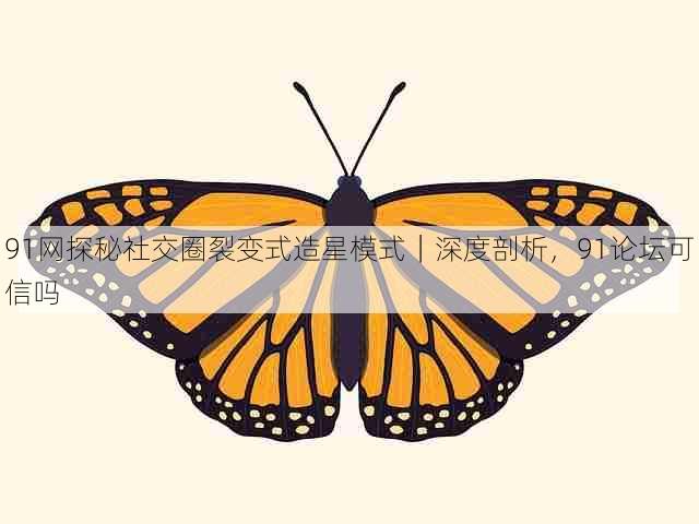 91网探秘社交圈裂变式造星模式|深度剖析,91论坛可信吗