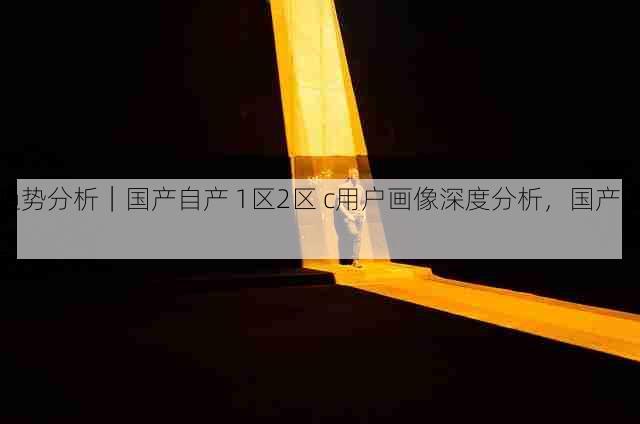趋势分析|国产自产 1区2区 c用户画像深度分析,国产区_1