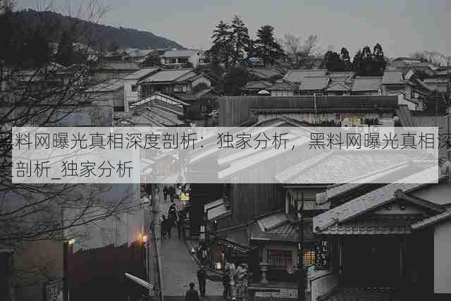 黑料网曝光真相深度剖析:独家分析,黑料网曝光真相深度剖析_独家分析