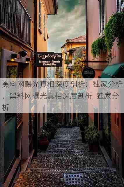 黑料网曝光真相深度剖析:独家分析,黑料网曝光真相深度剖析_独家分析