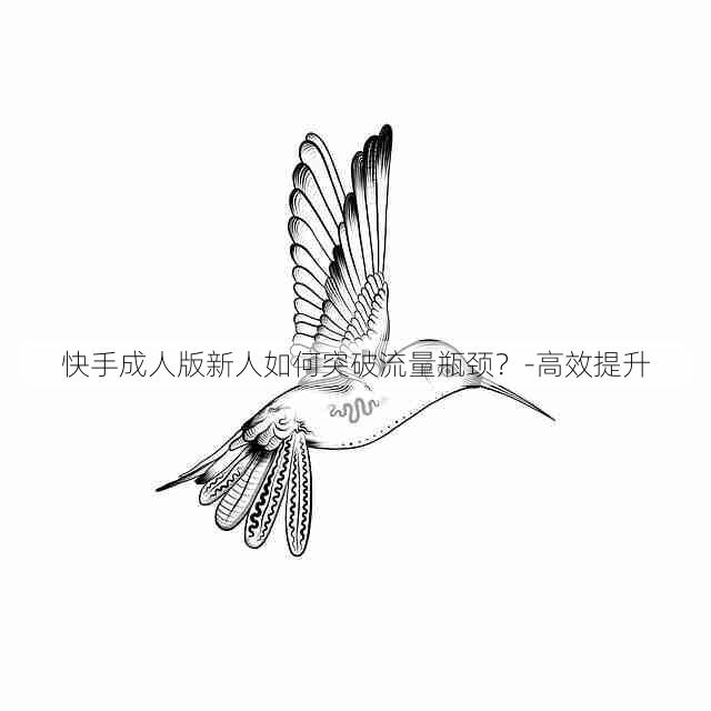 快手成人版新人如何突破流量瓶颈？-高效提升