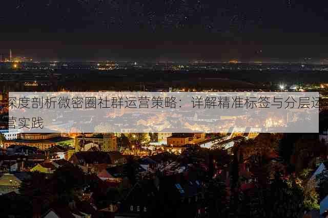深度剖析微密圈社群运营策略:详解精准标签与分层运营实践