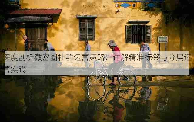 深度剖析微密圈社群运营策略:详解精准标签与分层运营实践